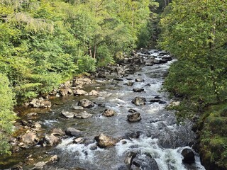river in the forest Beddgelert North Wales