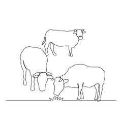 One continuous line drawing of Cow are eating grass vector illustration. Animal themes design concept in simple linear continuous line. Great vector design for animal farm business campaign.