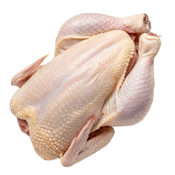 Whole Raw Chicken on Transparent Background