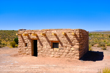 Desert vegetation and plants