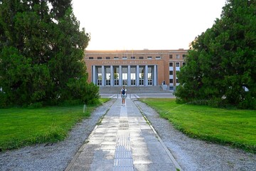 Faculty of Medicine, Complutense University, UCM, Madrid, Spain