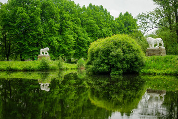 Obraz premium Lions in the Park Reflecting on the Water