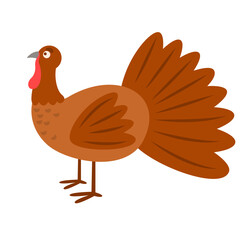 Cartoon turkey bird for Happy Thanksgiving celebration. Turkey bird vector illustration