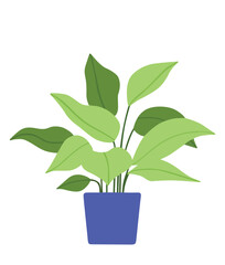 Flower top icon vactor image.eps