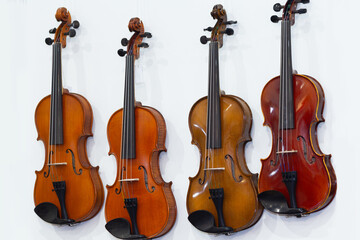 Classic violins on wall in music store