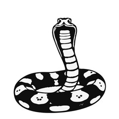 BlackTailed Rattlesnake Animation