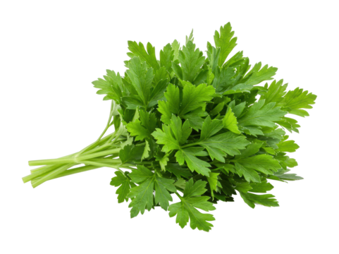 Fresh parsley bunch market stall food natural light culinary herb. Cut out png