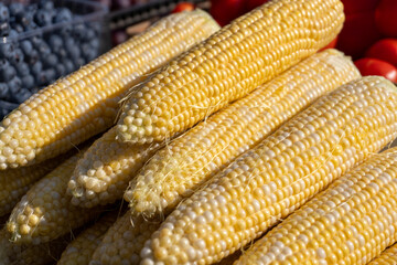 Freshly harvested corn displayed at a farmers market on a sunny day in summer