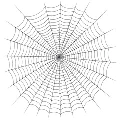 Obraz premium Intricate and Delicate Spiderweb with Radial Patterns, Symbolizing Nature's Design and Interconnectivity