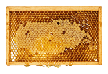 Honey extraction process beekeeping farm natural environment sustainable practices. Cut out png