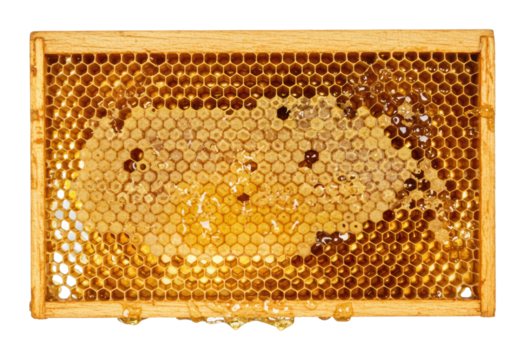 Honey extraction process beekeeping farm natural environment sustainable practices. Cut out png