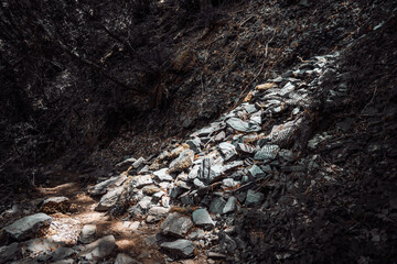 Pile of jagged slate rocks scattered along a shaded forest path, with sunlight filtering through tree branches and casting dappled patterns on the stones