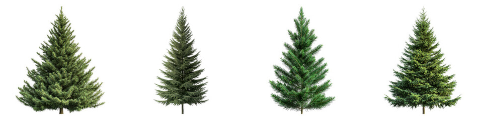 Four trees of different sizes and shapes are shown in a row
