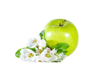 Green juicy glossy apple with flower and leaves. Isolated on white.