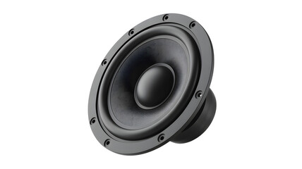 High fidelity audio speaker with powerful bass for sound system build