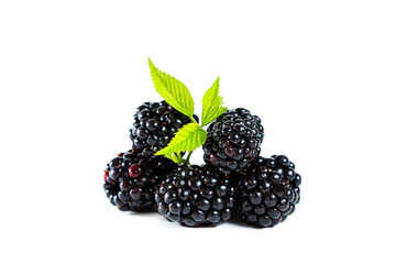 Ripe shiny blackberry with leaves isolated on white background.