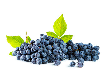 Bunch of blue grapes with leaves isolated on white background.
