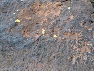 Textured rock surface with yellow lichen in natural outdoor setting