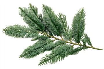 Close-up of a sprig of artificial greenery