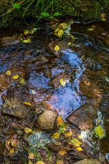 Valley of No Return, Forest of Broceliande, France