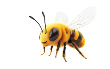 3d cartoon illustration of cute bee on white background,png