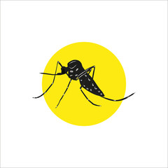 mosquito isolated on white background