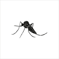 mosquito