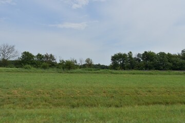 Fototapeta premium Field