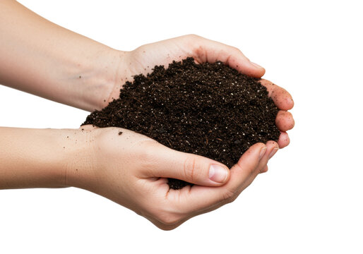 Handful of rich soil gardening workshop educational content indoor setting sustainable practices. Cut out png
