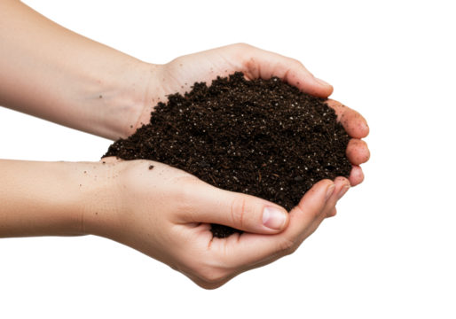 Handful of rich soil gardening workshop educational content indoor setting sustainable practices. Cut out png