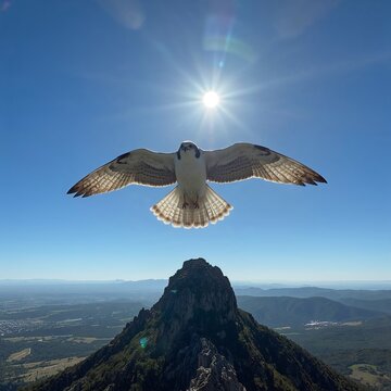 bird in flight