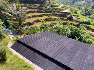 rice terraces bali indonesia
