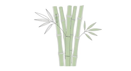 Fototapeta premium A minimalist illustration of a light green bamboo grove with delicate, sketched leaves isolated on a white background.