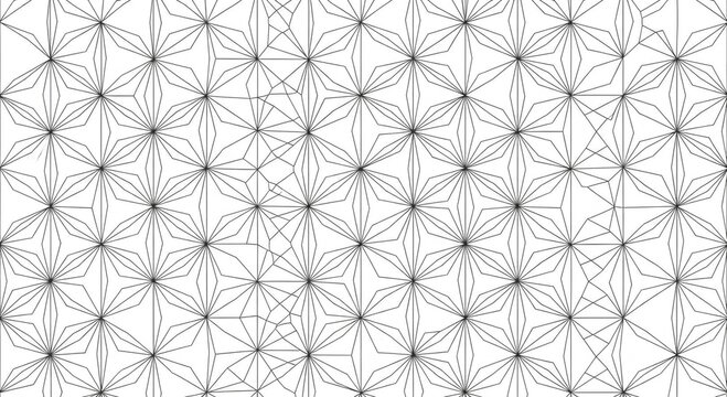 Intricate black and white geometric line art featuring a repeating floral star pattern with overlapping curves.