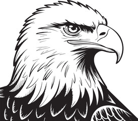 detailed black and white eagle head vector art with fierce eyes and sharp beak symbol of strength freedom and power bold