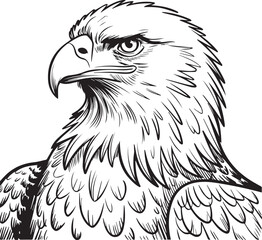 intricate bw eagle head line art vector profile with detailed plume intense gaze hooked beak sign of courage and freedom