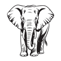 black and white elephant vector with decorative patterns suitable for wall art branding and educational use