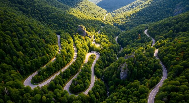 Aerial drone view of a winding serpentine road through a lush green mountain forest valley during a sunny day.