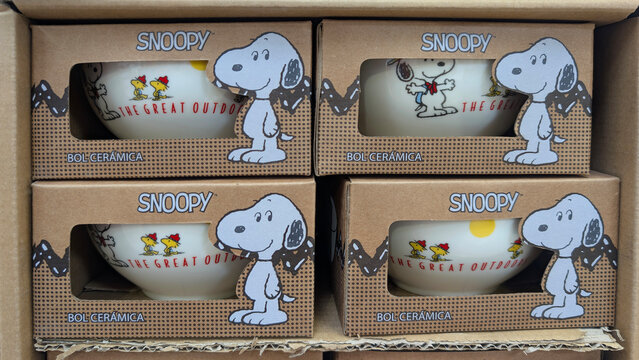 White Snoopy ceramic bowl with drawings packaged in stylish designer cardboard box at supermarket. Collectible, gift set, popular cartoon characters, home goods, merchandising, retail, peanuts gang. 
