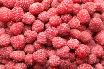 Many fresh ripe raspberries as background, top view