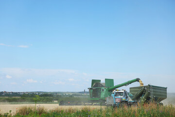 Obraz premium Combine harvester unloading wheat into tractor trailer in field