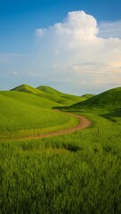 Fototapeta premium Rolling Green Hills and Winding Dirt Road under a Blue Sky with Fluffy White Clouds a Serene Landscape Photography