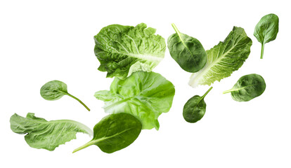 Fresh lettuce and spinach leaves flying against white background