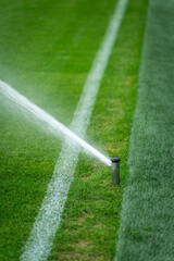 Automatic sprinkler watering green grass on soccer field © HNstock