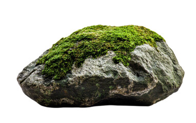 Fototapeta premium A rock covered in green moss on white background,png