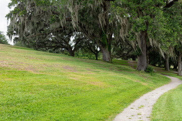 Path Under Spanish Moss Trees. A winding dirt path curves beneath towering oak trees draped in Spanish moss at Middleton Place Plantation.