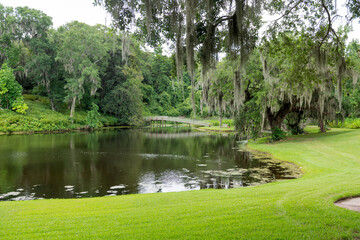 Tranquil pond at Middleton Place Plantation in Charleston, SC, framed by oaks draped in Spanish...