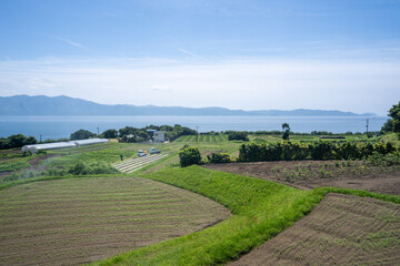 温暖な桜島での農業