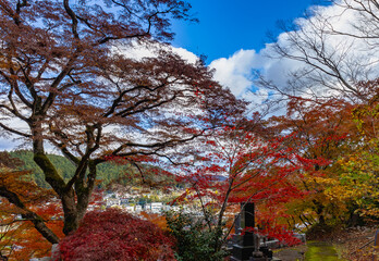 もみじ寺　茨城県