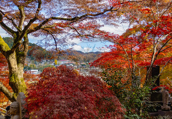 もみじ寺　茨城県